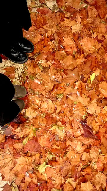 rawrxddd.07 rawrxddd.07 archive video