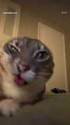 daniiiiichka Altpins Profile Picture