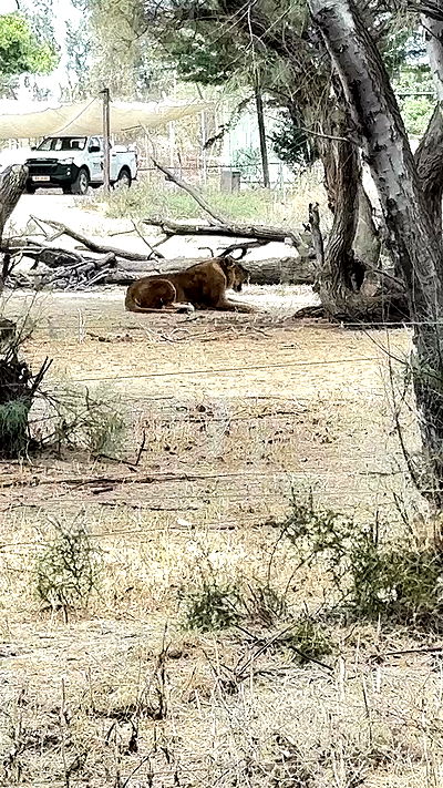 noyaislilith333 noyaislilith333 archive video