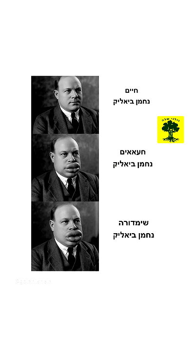 _lil_noa_ _lil_noa_ archive video