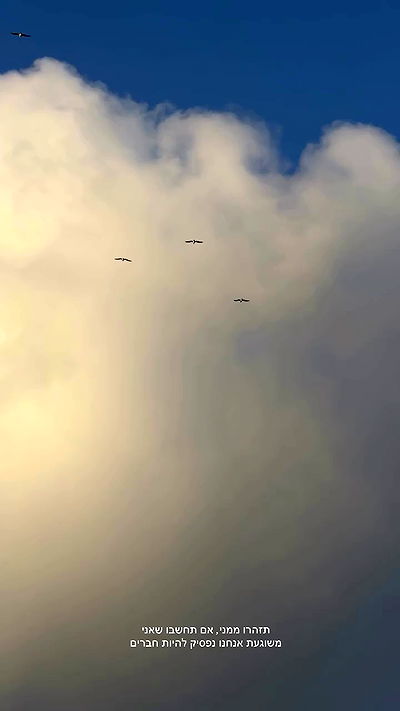 justlerman justlerman archive video