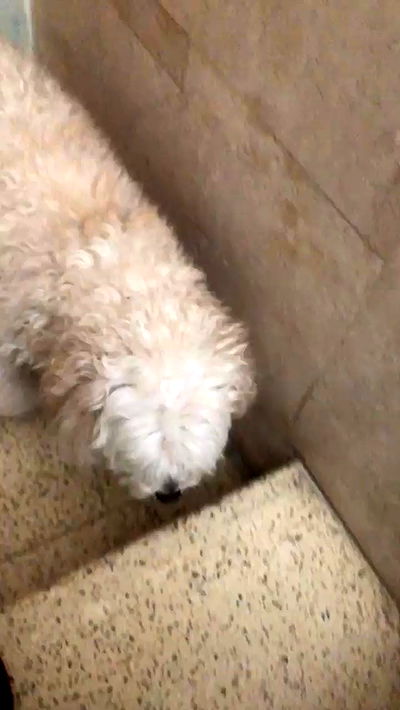 feelbetterinmysweater feelbetterinmysweater archive video