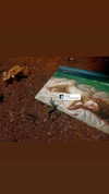 6a1it Altpins Profile Picture
