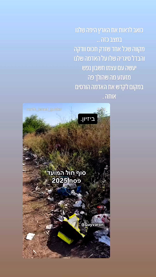 toharsandrusi archive video preview