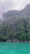 shelly_roberin Altpins Profile Picture