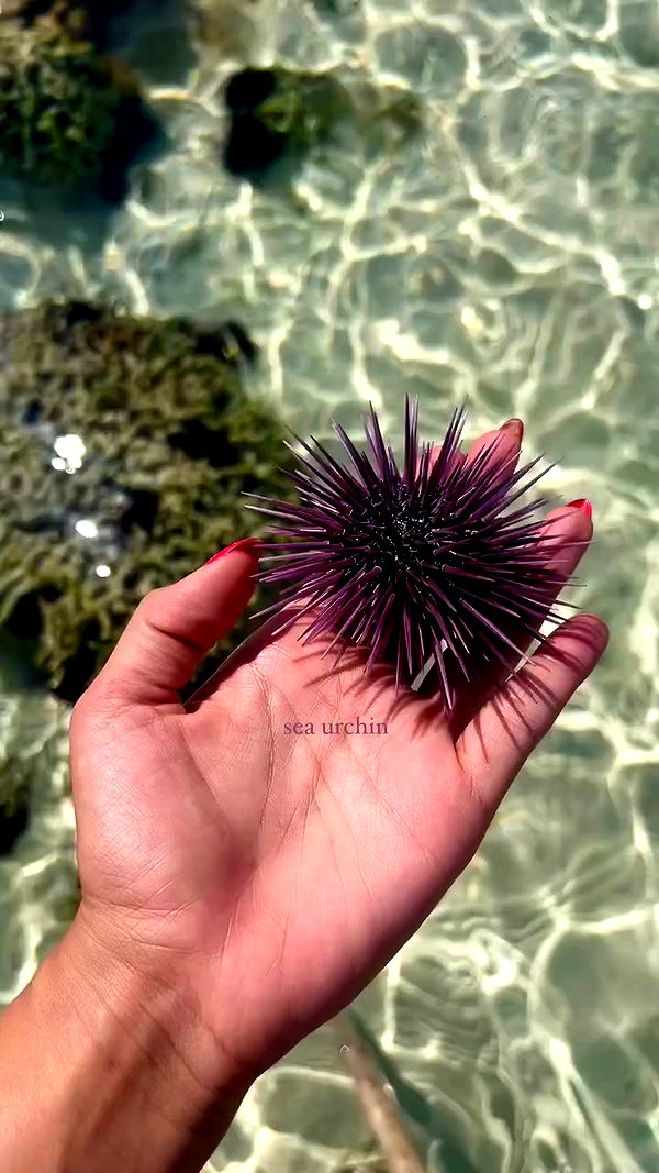 noa_mendel_ archive video preview