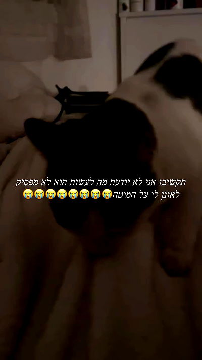 moonliliaght moonliliaght archive video