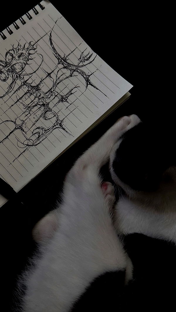 6nattynat9 archive video preview