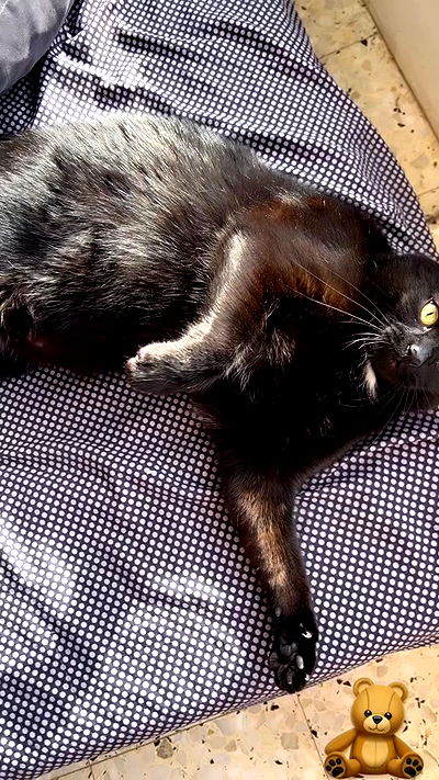 hellokittyangel666 hellokittyangel666 archive video