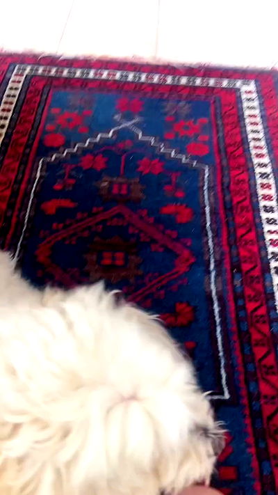 feelbetterinmysweater feelbetterinmysweater archive video