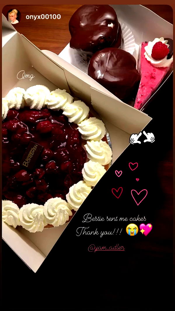 yam_adler archive video preview