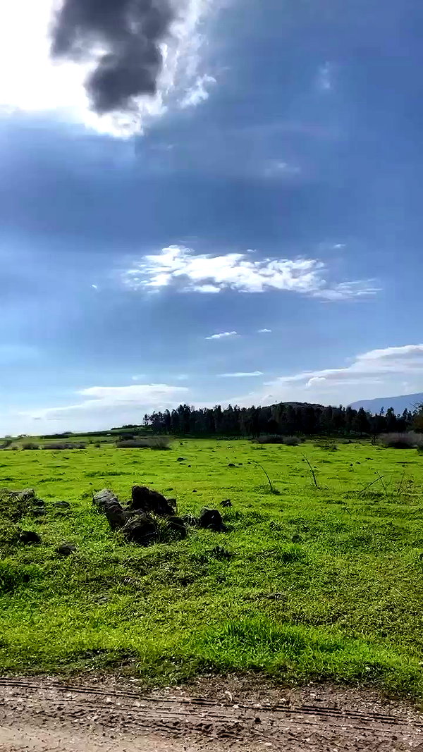 siel_pinto archive video preview