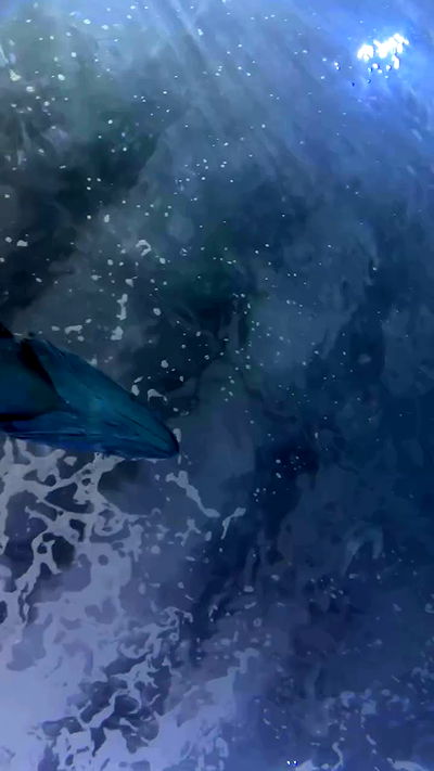 quarterjade quarterjade archive video