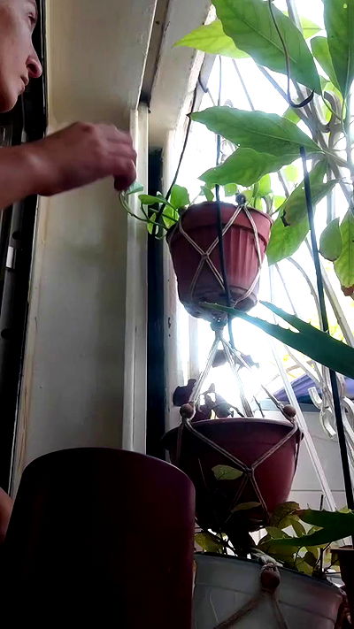 1justsabi 1justsabi archive video