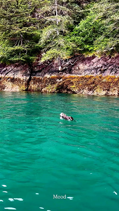 sedonaskyxo sedonaskyxo archive video