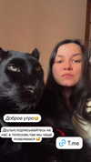 luna_the_pantera Altpins Profile Picture