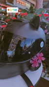 violet20010829 Altpins Profile Picture