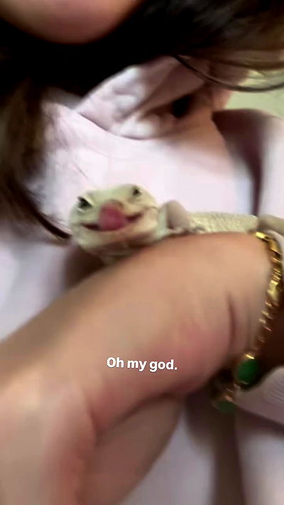 juliaernst juliaernst archive video