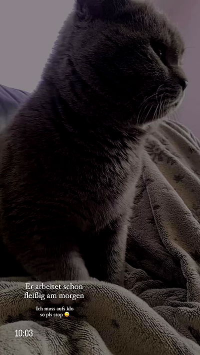 yoo.mon yoo.mon archive video