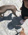 kyliejenner Altpins Profile Picture