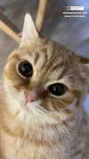 ivy.owowo Altpins Profile Picture