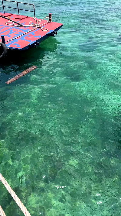 kesemgreenyer kesemgreenyer archive video