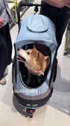 ceceyjwww Altpins Profile Picture