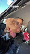 milena_kofef Altpins Profile Picture