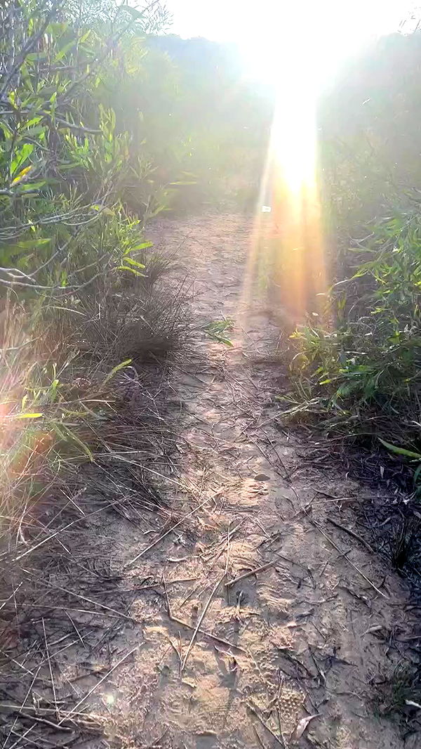 yulialam__ archive video preview