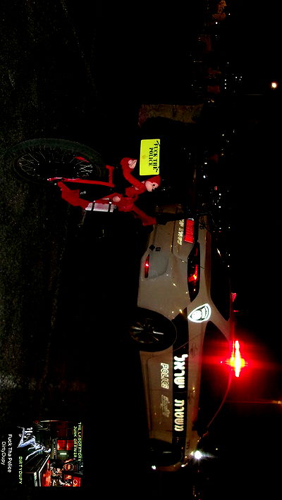 simp_for_cats_ simp_for_cats_ archive video