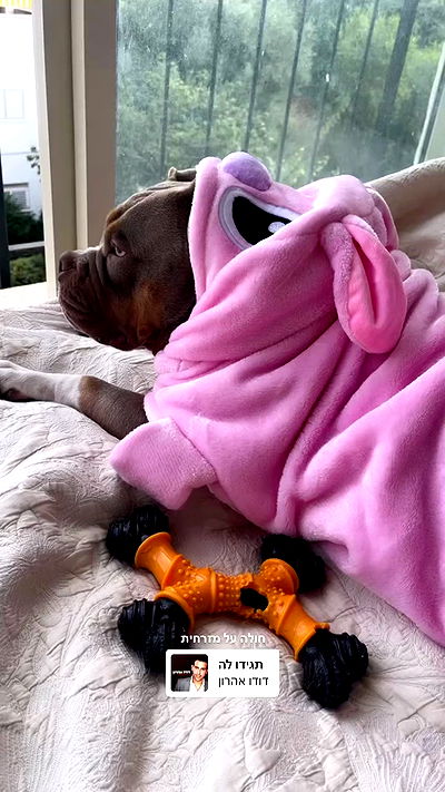 kesemgreenyer kesemgreenyer archive video