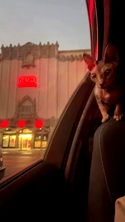 zommmbri zommmbri archive video