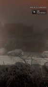 __yaheli_ Altpins Profile Picture