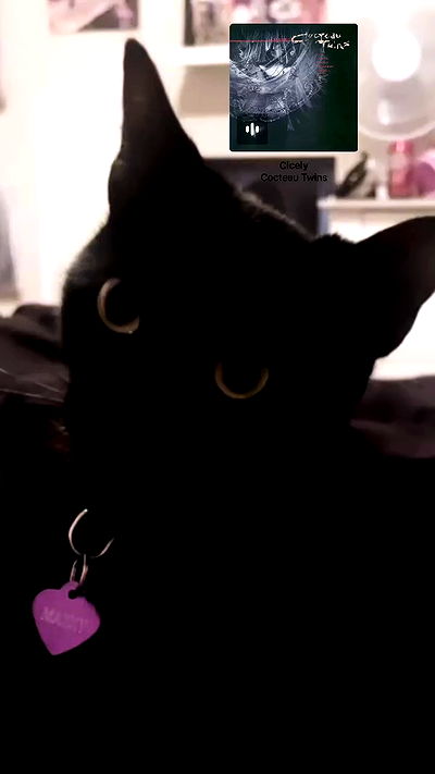 juliaelzz juliaelzz archive video