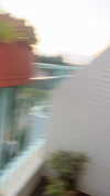 sofiya.pl Altpins Profile Picture