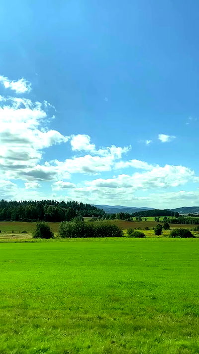 noa_zemlyanski noa_zemlyanski archive video