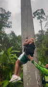 lior_lotati Altpins Profile Picture