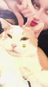 _koolkat__ Altpins Profile Picture