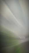 wdmp00_ Altpins Profile Picture