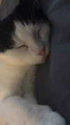 m3oww0_o Altpins Profile Picture