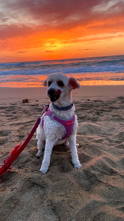 feelbetterinmysweater feelbetterinmysweater archive video