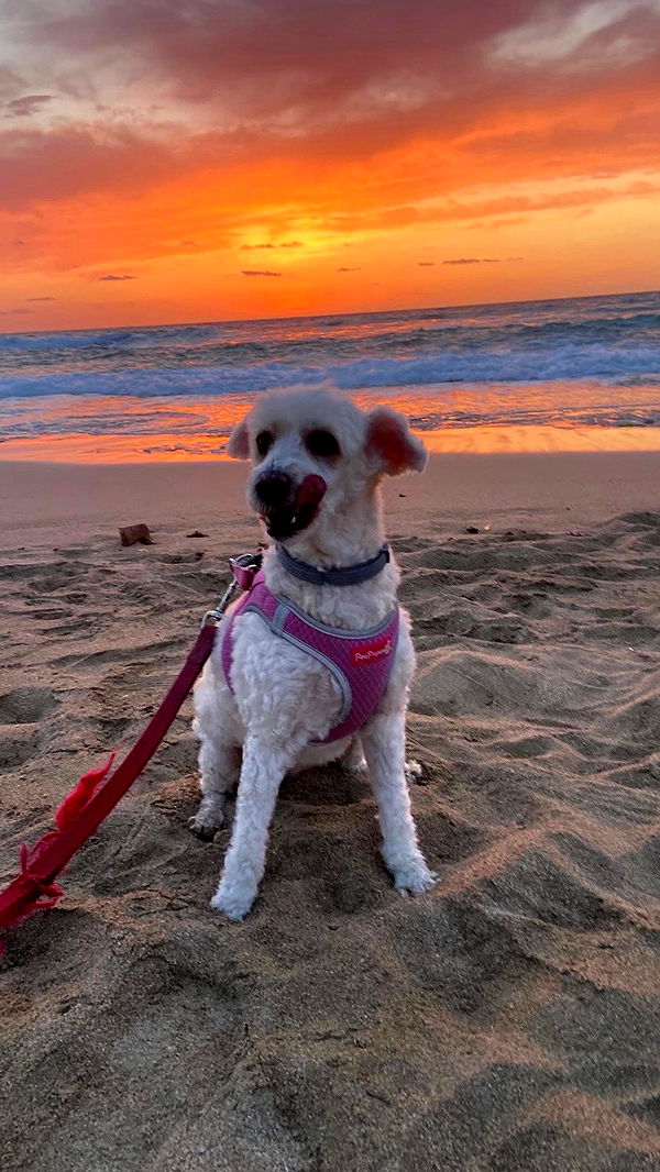 feelbetterinmysweater archive video preview