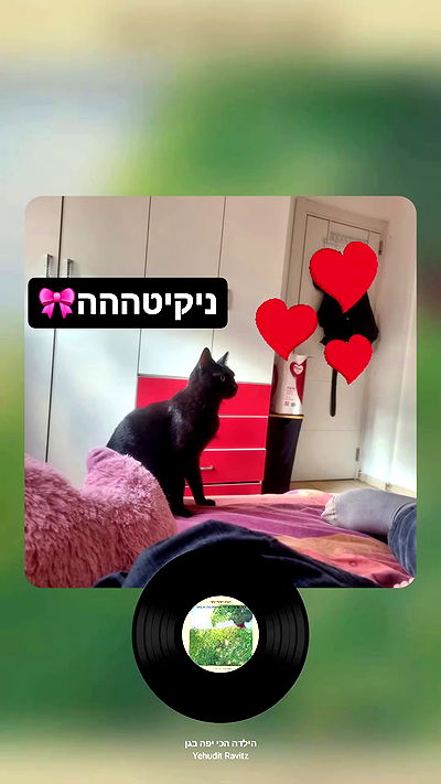 shayli_or shayli_or archive video