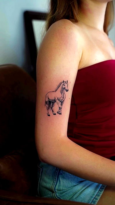 noa_zemlyanski noa_zemlyanski archive video