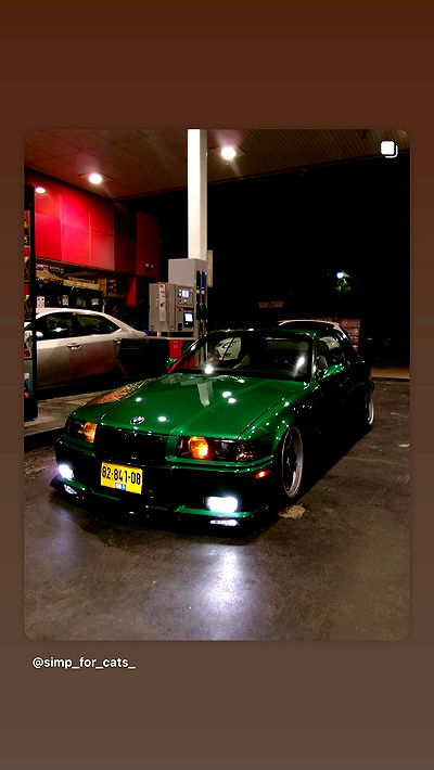 simp_for_cats_ simp_for_cats_ archive video