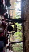 noa_mendel_ Altpins Profile Picture