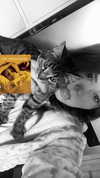 lanaxdaws Altpins Profile Picture