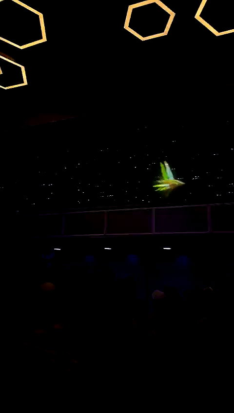 kendallwheelerr archive video preview