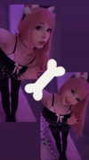 pockycatt Altpins Profile Picture
