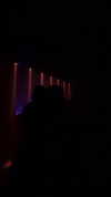 dina_shrago Altpins Profile Picture